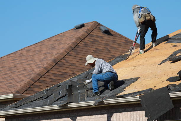 Best Metal Roofing Installation  in Highfill, AR