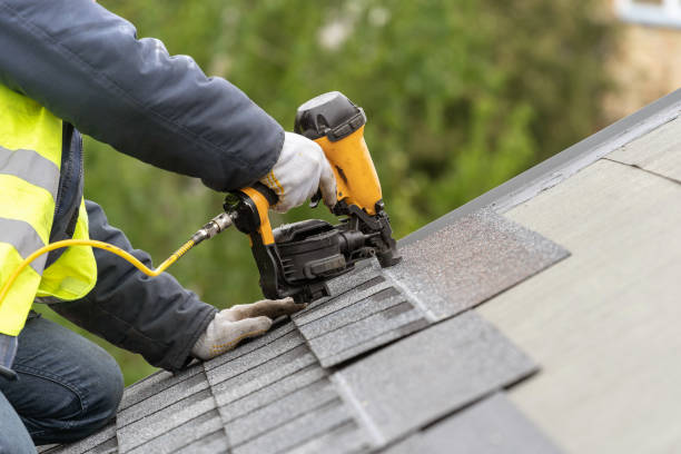 Best Roof Moss and Algae Removal  in Highfill, AR